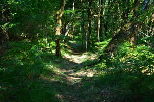 photo L'OUSSTRAIL
