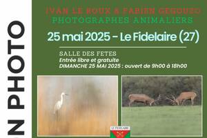 photo Exposition de photos animalières