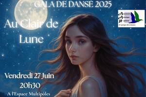 photo GALA DE DANSE