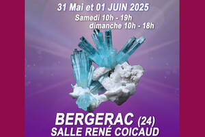 Salon minéraux, fossiles, bijoux de créateur.