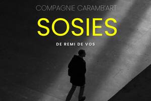 THEATRE Sosies de Rémi De Vos