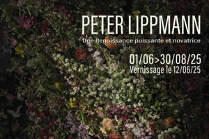 photo Peter Lippmann: Une Renaissance puissante et novatrice