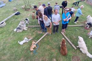 photo ÉDUCATION CANINE CHATEAUNEUF EN THYMERAIS FAIT SON SHOW !