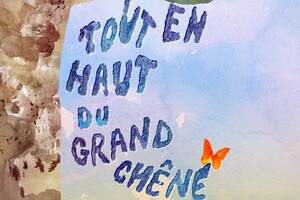 photo Spectacle - tout en haut du garnd chêne