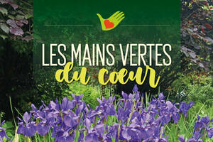 LES MAINS VERTES du COEUR