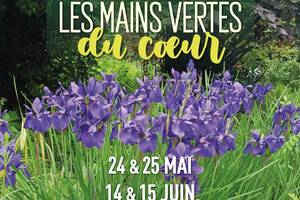 LES MAINS VERTES du COEUR