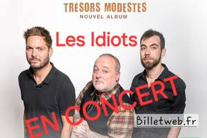 photo Les Idiots en concert à Puygouzon