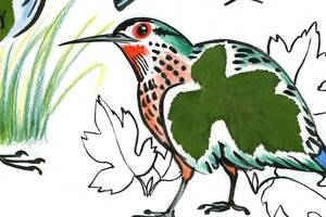Atelier de dessin - les oiseaux, envolée