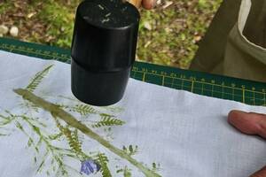 Atelier - Imprime la nature