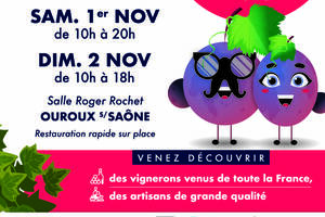 Salon VINESSENS