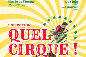 Quel cirque !