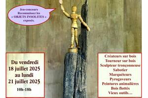 Exposition « BOIS »
