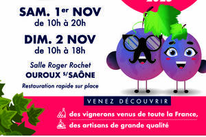 photo Salon VINESSENS