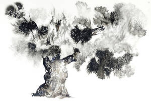 Exposition « Cheminer avec l'arbre », aquarelles de Franck ROLLIER, accompagnés des textes de Bernard FARINELLI.