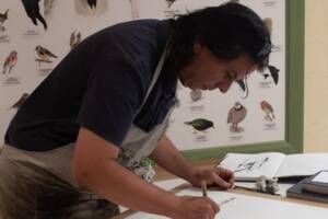 Démonstration d’aquarelle et lectures pour l'inauguration de l’exposition « Cheminer avec l'arbre »