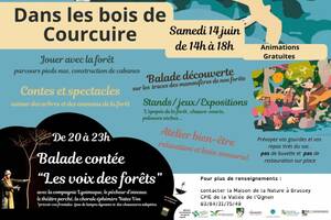 photo LES NUITS DES FORETS