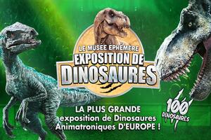 photo Le Musée Éphémère® des dinosaures à Casteljaloux - Tour 2025