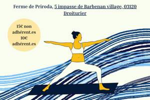 photo Initiation au yoga en plein air