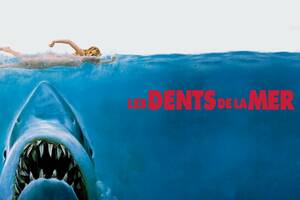 photo Séance spéciale 50 ans : les Dents de la Mer