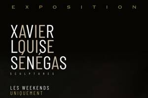 photo Exposition de Xavier Louise Sénégas
