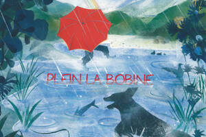 photo Festival Plein la Bobine