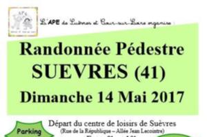 Randonnée pédestre SUEVRES 14 mai 2017