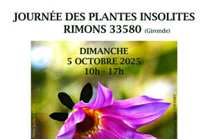 photo Journée des Plantes Insolites de Rimons