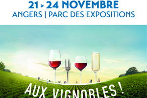 photo Salon Aux Vignobles ! de ANGERS