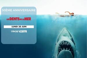 photo Séance unique : Les Dents de la mer