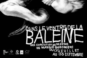 photo Dans le ventre de la baleine