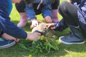 photo Aventure a la ferme 3 à 8 ans