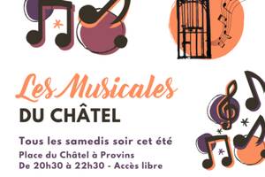 photo Les Musicales du Châtel