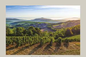 Exposition photographies de Pierre Mérat à L'Office de Tourisme du Grand Sancerrois