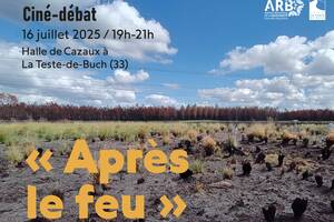 photo Ciné-débat 