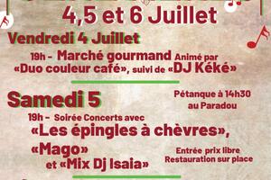 photo Soirée Concerts