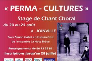photo Stage de chant choral 