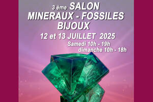 photo Salon minéraux, fossiles, bijoux de créateur.