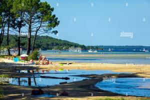 photo marche
