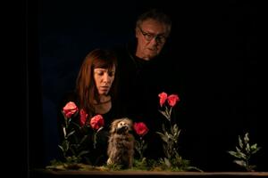 photo   Sur les pas d'Oodaaq Théâtre visuel / Marionnettes par la Compagnie Les Décintrés