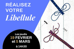 photo Atelier Matelotage – Libellule