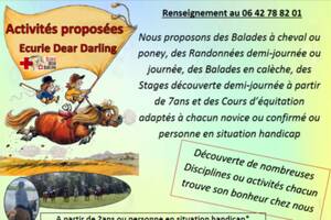 photo Toute l'année découverte poney ou cheval