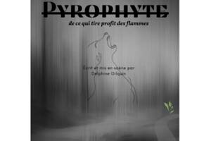 photo Pyrophyte de ce qui tire profit des flammes