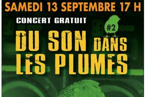 photo DU SON DANS LES PLUMES #2