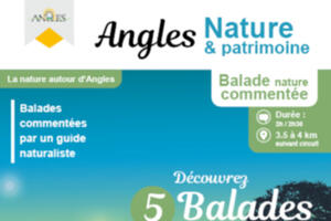 photo Balades nature en semi-nocturne