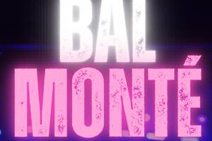photo bal monté