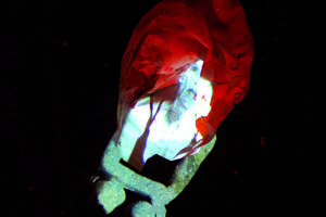 photo Exposition Anna.Laclaque – Femme fractale