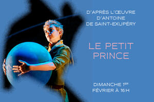 photo Le Petit Prince D’après l’œuvre d’Antoine de Saint-Exupéry