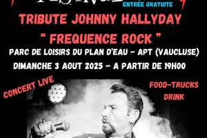 photo Food Trucks Festival concert Tribute Johnny Hallyday 