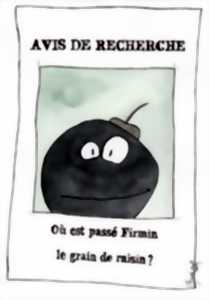 photo Firmin le grain de raisin