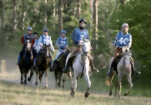 photo 20ème Course d'Endurance Équestre du Dégagnazès